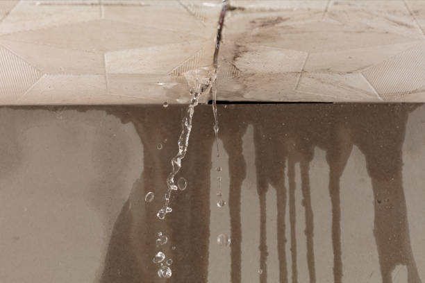 Professional Water Damage Restoration technician working in Dunkirk, MD